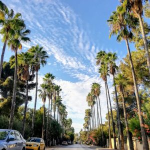 f1047ae8-5e23-4131-94fc-70c5b9b7919b